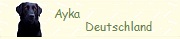 Ayka Deutschland